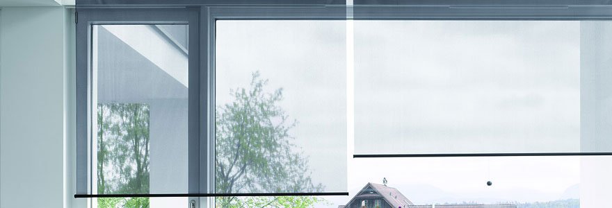 cortinas roller transparentes